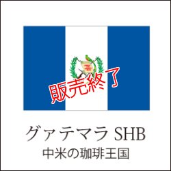 画像1: グァテマラ