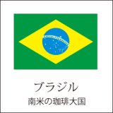 ブラジルサントス