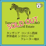 タンザニア コンゴニ農園 限定入荷