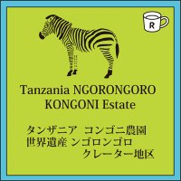 タンザニア コンゴニ農園 限定入荷