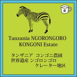 画像1: タンザニア コンゴニ農園 限定入荷