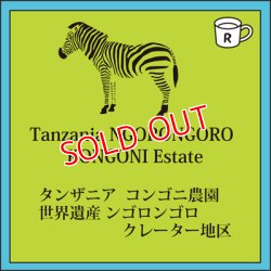 画像1: タンザニア コンゴニ農園 （限定再入荷）