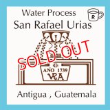 サンラファエルウリアス農園（Gutemala Antigua)水洗精製
