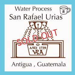 画像1: サンラファエルウリアス農園（Gutemala Antigua)水洗精製