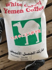 イエメン　ホワイトキャメル　バニーマタル地区　モカマタリ