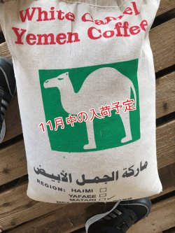 画像1: イエメン　ホワイトキャメル　バニーマタル地区　モカマタリ
