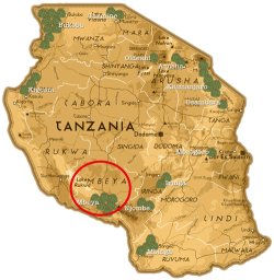 画像2: タンザニア　アフリカン　キャノピー