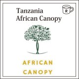 タンザニア　アフリカン　キャノピー