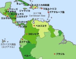 画像2: 夏限定　ドミニカ カリビアン クイーンAAA
