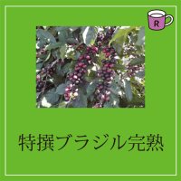 カフェドルチェ　特撰ブラジル完熟