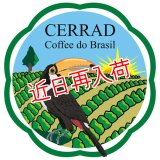 ブラジル　アマレロブルボン