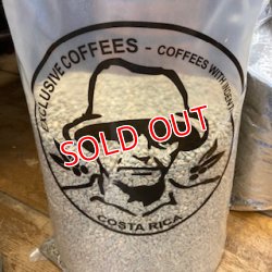 画像2: コスタリカ　オルティス農園　ホワイトハニー