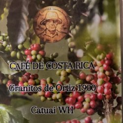 画像3: コスタリカ　オルティス農園　ホワイトハニー