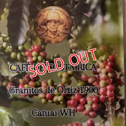 画像3: コスタリカ　オルティス農園　ホワイトハニー