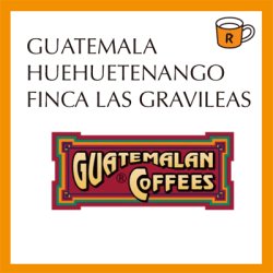 画像1: グァテマラ　グラヴィレアス農園