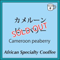 カメルーン　ピーベリー