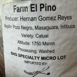 画像2: ホンジュラス　エル・ピノ農園
