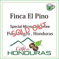 ホンジュラス　エル・ピノ農園　限定入荷