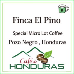 画像1: ホンジュラス　エル・ピノ農園
