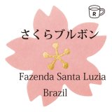 サクラブルボン　ブラジル　サンタルジア農園