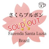 サクラブルボン　ブラジル　サンタルジア農園