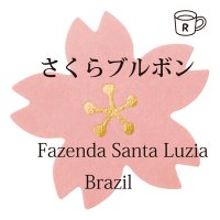 サクラブルボン　ブラジル　サンタルジア農園