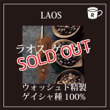 ラオス　ゲイシャ　ペトラムカ農園　限定入荷