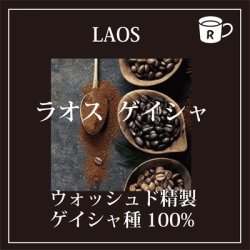 画像1: ラオス　ゲイシャ　ペトラムカ農園