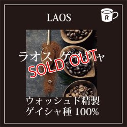 画像1: ラオス　ゲイシャ　ペトラムカ農園　限定入荷