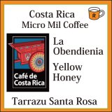 コスタリカ　オベデンシア農園　イエローハニー　限定入荷