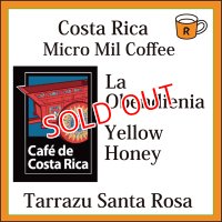 コスタリカ　オベデンシア農園　イエローハニー　限定入荷