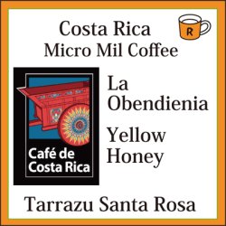 画像1: コスタリカ　オベデンシア農園　イエローハニー　限定入荷
