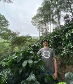 画像2: エルサルバドル　バラム農園　限定入荷