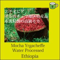 イルガチェフ コチャレ ウォッシュド
