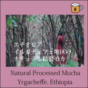 画像: エチオピア　ナチュラル　モカ （イルガチェフ産）