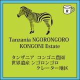 画像: タンザニア コンゴニ農園 限定入荷