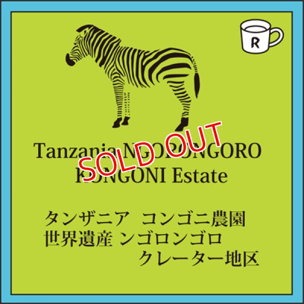 画像1: タンザニア コンゴニ農園 （限定再入荷）