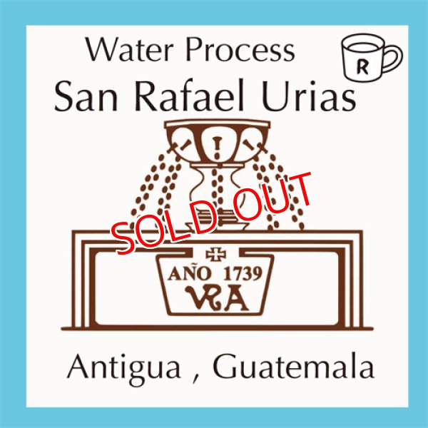 画像1: サンラファエルウリアス農園（Gutemala Antigua)水洗精製