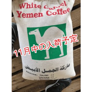 画像: イエメン　ホワイトキャメル　バニーマタル地区　モカマタリ