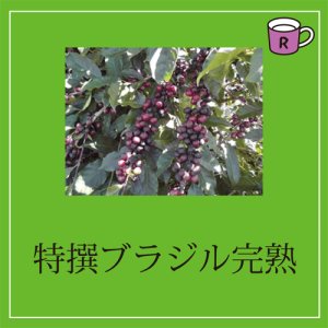 画像: カフェドルチェ　特撰ブラジル完熟