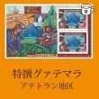 画像1: 特選ガテマラ