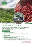 画像3: エメラルドマウンテン