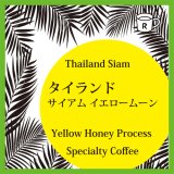 画像: タイ　イエロームーン（限定）