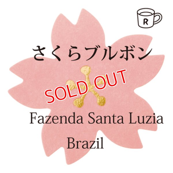 画像1: サクラブルボン　ブラジル　サンタルジア農園