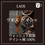 画像: ラオス　ゲイシャ　ペトラムカ農園