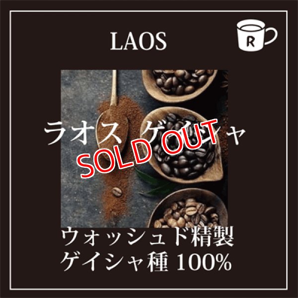 画像1: ラオス　ゲイシャ　ペトラムカ農園　限定入荷