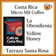 画像1: コスタリカ　オベデンシア農園　イエローハニー　限定入荷