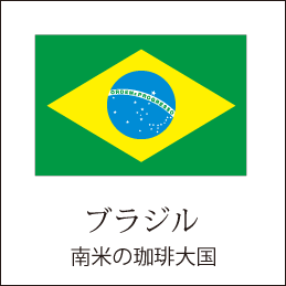 画像1: ブラジルサントス