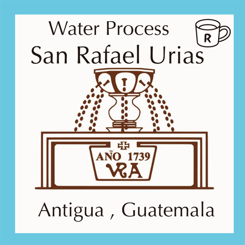 画像1: サンラファエルウリアス農園（Gutemala Antigua)水洗精製