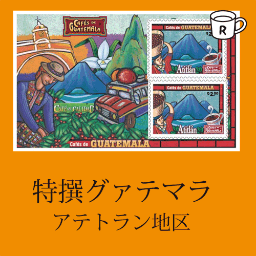 画像1: 特選ガテマラ